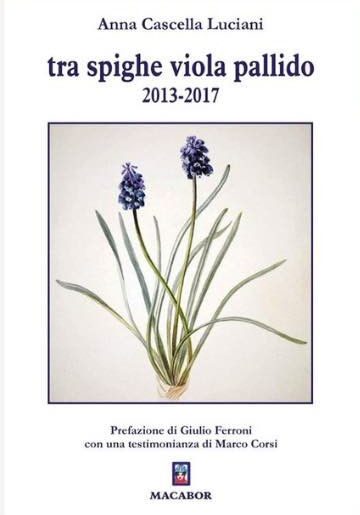 Copertina di «Tra spighe viola pallido» di Anna Cascella Luciani